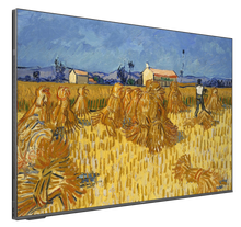 Load image into Gallery viewer, C2 Canvas Art® TV QD-Mini LED 4K UHD | Google TV
