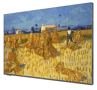 C2 Canvas Art® TV QD-Mini LED 4K UHD | Google TV